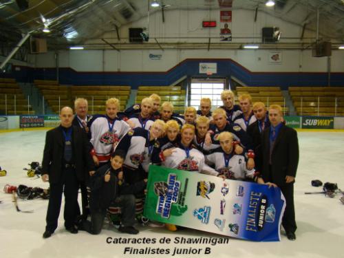 Cataractes de Shawinigan