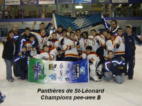 Panthères de St-Léonard